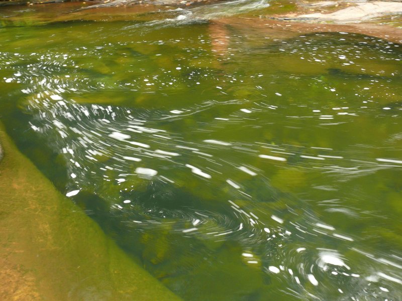 Quinsam swimming hole.jpg