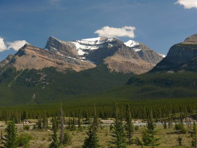 Kootenay Plains.jpg