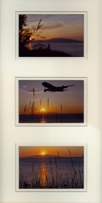 Sunset_Collage.jpg