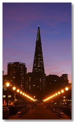 TransAmerica Building