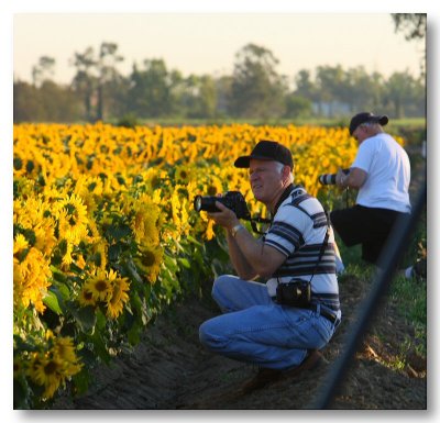 Pbase Members Bill Taylor & his brother Don shooting SunFlowers