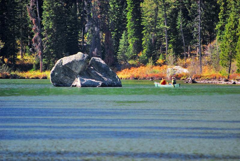 Jenny Lake