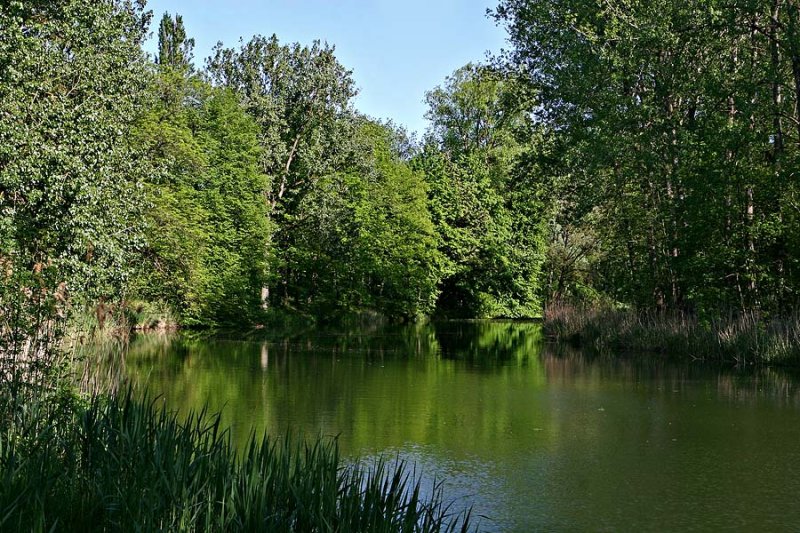 The Danube at Dillingen