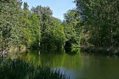 The Danube at Dillingen