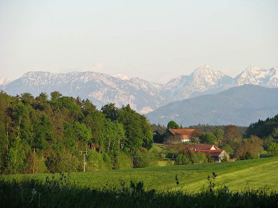 IMG_0364.jpg