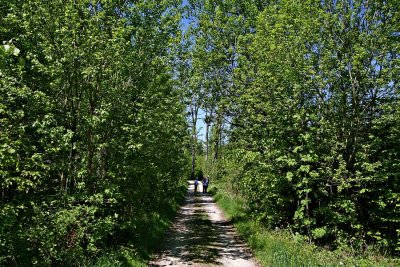 IMG_1823.jpg