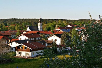 IMG_1870.jpg