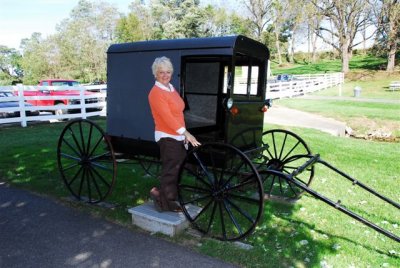 Jill and an Amish buggy (she dated in one in Covington
