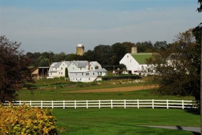 Typical Amish farm