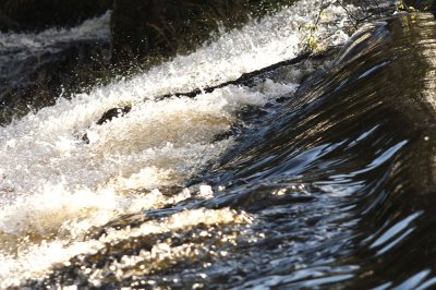 The Weir