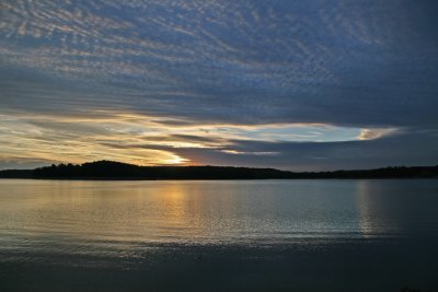 IMG_01131.jpg