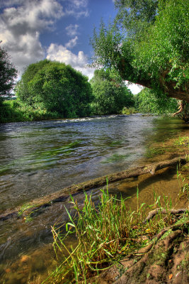 River Exe near Bickleigh