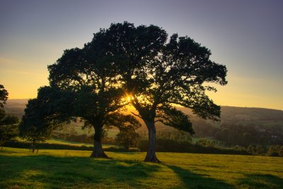 Sunset in the Culm Valley - Devon