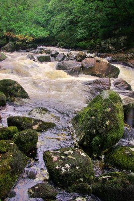 Dart River - falls