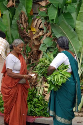 Plant sale