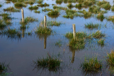 Posts in Flood