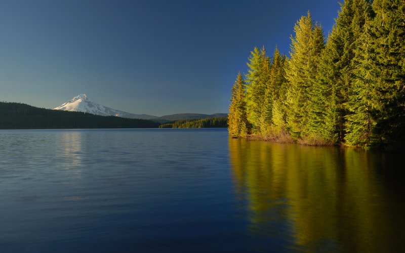 Timothy Lake