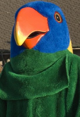 King Parrot at the San Francisco Zoo