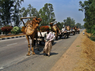 On the way to Agra