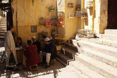 Fez