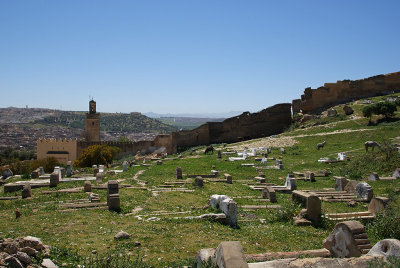 Fez