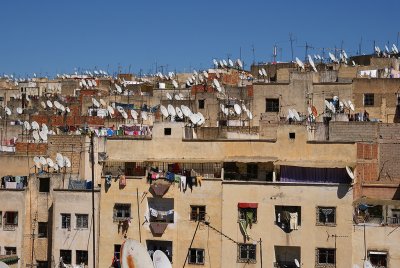 Fez