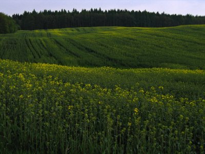 Pojezierze Brodnickie I