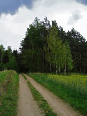 Pojezierze Brodnickie II