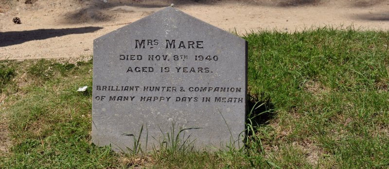 Mrs.Mare