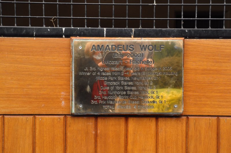 Amadeus Wolf