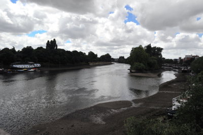 A Towpath Walk in July