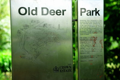 Map of Old Deer Park.jpg