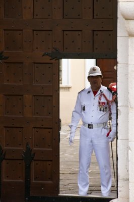 Guarding the princely palace