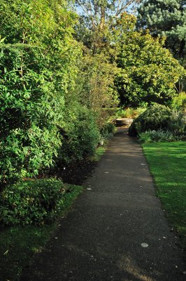 An abundance of green at the start of the walk