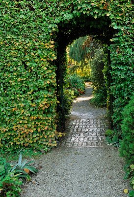 Entrance to a secret garden