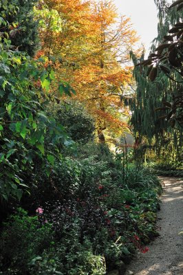 The first glimpse of autumn gold