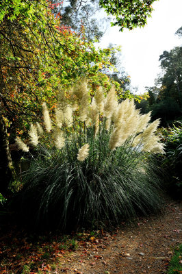 At the heart of the golden grove