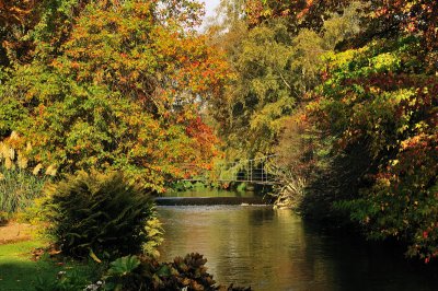 A footbridge from the wood over the river