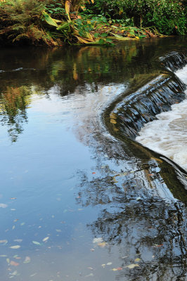 The curve of the weir