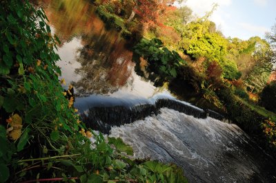 A bird's eye view of the weir