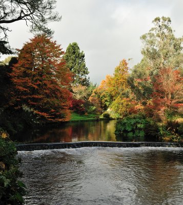 The weir in autumn glory