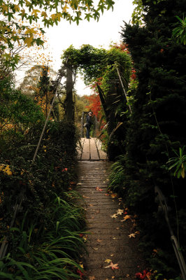 Steady your camera,Mom. This footbridge is wobbly! she warned.