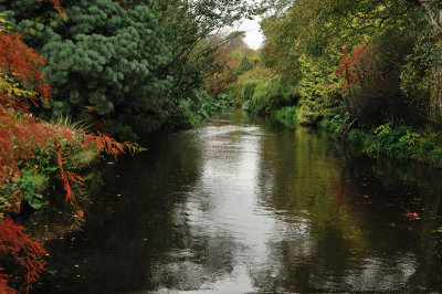 Looking upstream from the wobbly bridge