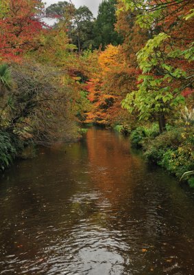 Rust on the river