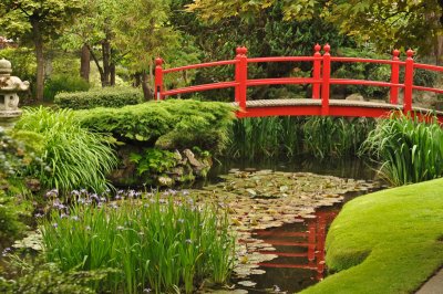 A Japanese Bridge 