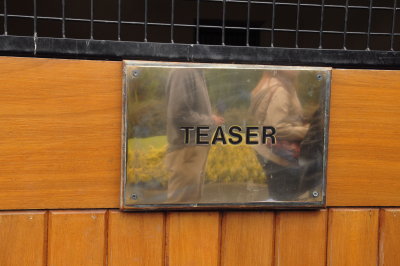 Teaser : Tommy's box
