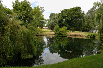 Pond at the National Stud
