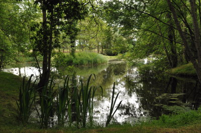 Another pond at the National