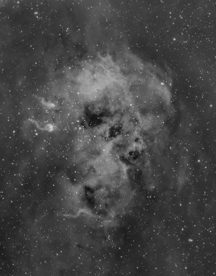 SH2-236