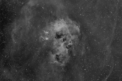 SH2-236
